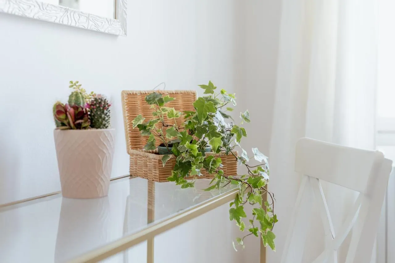 San Leonardo Apartment Λούκα